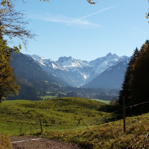 Hundetreffen 2014 im Allgäu (7)